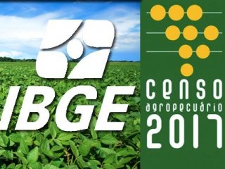 Concurso do IBGE oferece uma vaga para recenseador em Tio Hugo