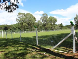 Reabertura do campo da Barragem acontece no domingo 10 de fevereiro