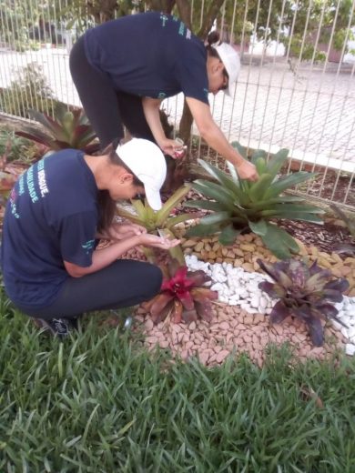 Agentes de saúde realizam nova etapa do levantamento de índice rápido para Aedes Aegypti em Tio Hugo