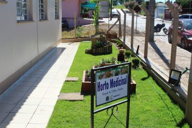 Horto Medicinal: Resgate da Cultura Popular