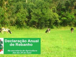 Declaração Anual de Rebanho deverá ser elaborada até o dia 29 de maio