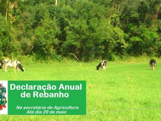 Declaração Anual de Rebanho deverá ser elaborada até o dia 29 de maio