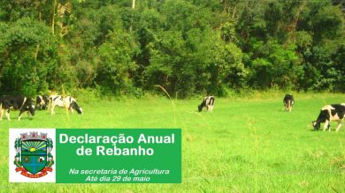 Declaração Anual de Rebanho deverá ser elaborada até o dia 29 de maio