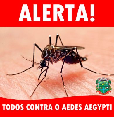Casos suspeitos e confirmados na região ligam o sinal de alerta para a proliferação da dengue