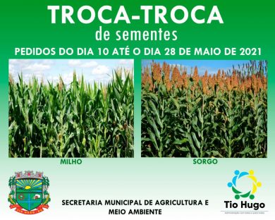 Troca-Troca de Sementes: Produtores deverão realizar o pedido de sementes de milho e sorgo até o dia 28 de maio