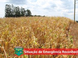 Estado homologa e Governo Federal reconhece situação de emergência de Tio Hugo em decorrência da estiagem