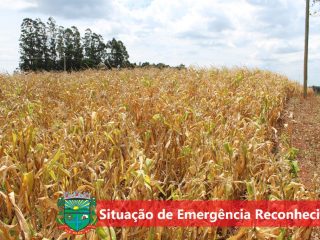 Estado homologa e Governo Federal reconhece situação de emergência de Tio Hugo em decorrência da estiagem