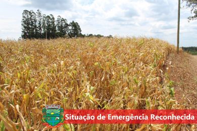 Estado homologa e Governo Federal reconhece situação de emergência de Tio Hugo em decorrência da estiagem