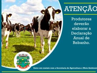 Produtores rurais deverão elaborar a Declaração Anual de Rebanho