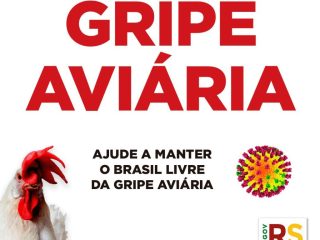 Todos em alerta contra a gripe aviária