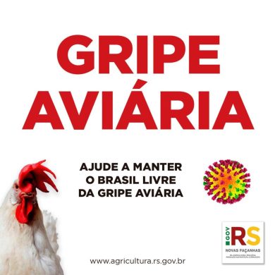 Todos em alerta contra a gripe aviária