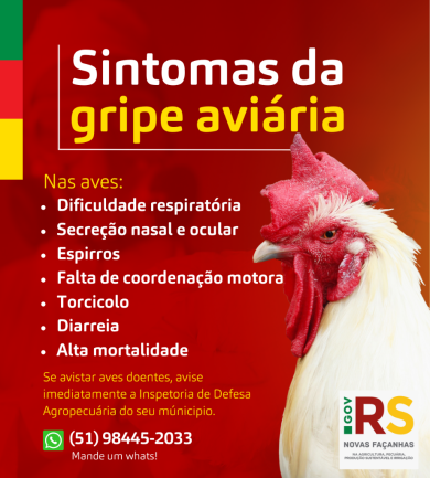 Rio Grande do Sul em estado de emergência zoossanitária contra a Gripe Aviária