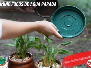 Foco com larvas do mosquito Aedes Aegypti preocupam departamento de combate a endemias