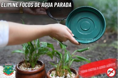 Foco com larvas do mosquito Aedes Aegypti preocupam departamento de combate a endemias