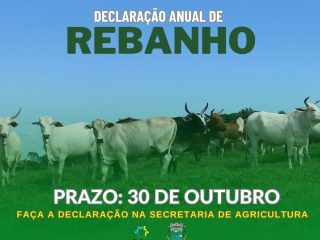 ATENÇÃO: Últimos dias para efetuar a Declaração Anual de Rebanho