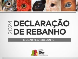 Declaração Anual de Rebanho deve ser entregue até o dia 14 de junho