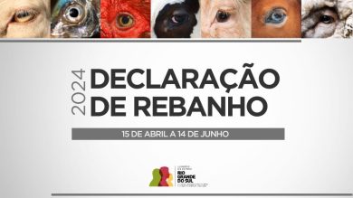 Declaração Anual de Rebanho deve ser entregue até o dia 14 de junho