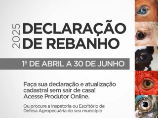 ABERTO O PRAZO PARA DECLARAÇÃO DE REBANHO
